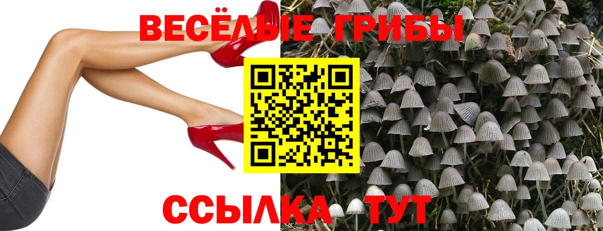Галлюциногенные грибы прущие грибы  Псилоцибиновые грибы Cubensis  Казань  Вход с VPN 